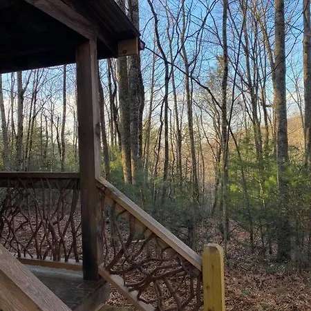 1850'S Settlers Cabin At Wethero Ridge & Theater Villa Hendersonville Exterior photo