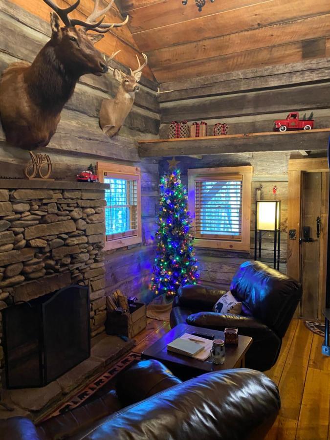 1850's Settlers At Wethero Ridge & Theater Holiday home